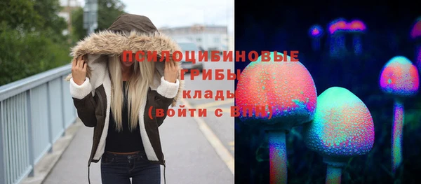 каннабис Инта