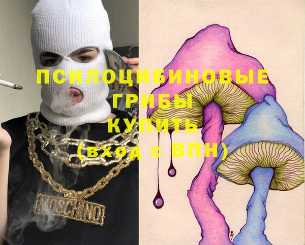 МДМА Инсар