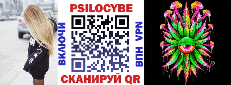 Купить закладки  Дмитров  Галлюциногенные грибы мицелий 